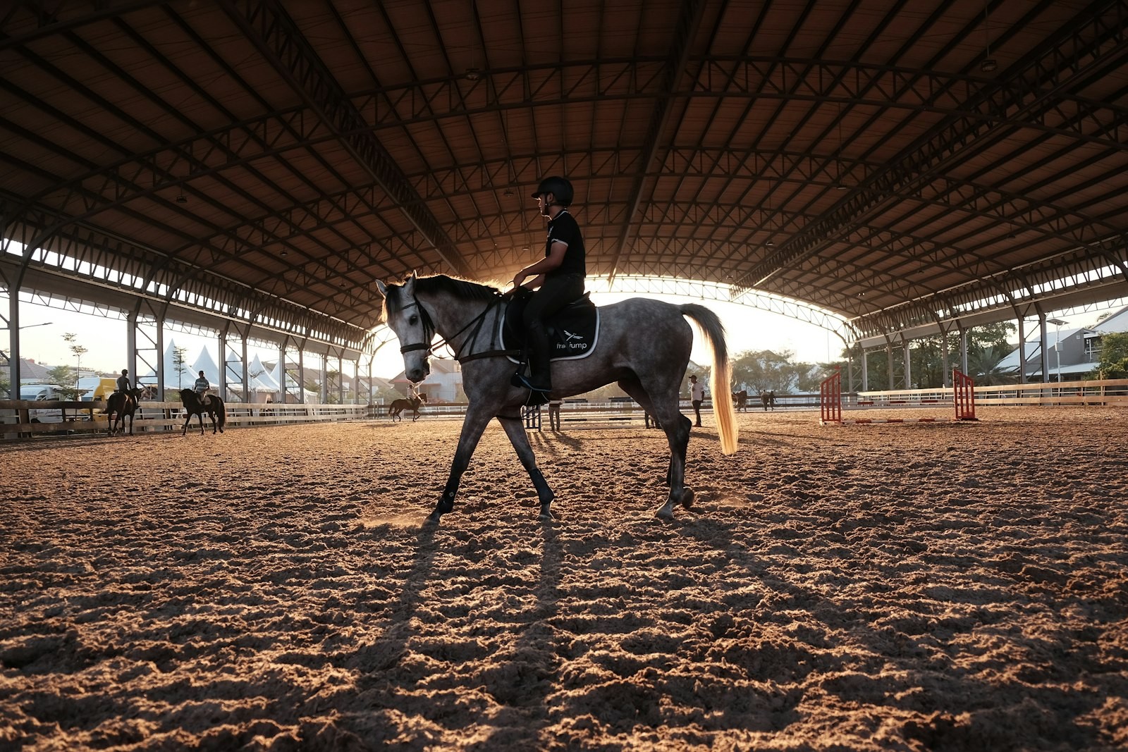 Horse arena cleaning in Brisbane