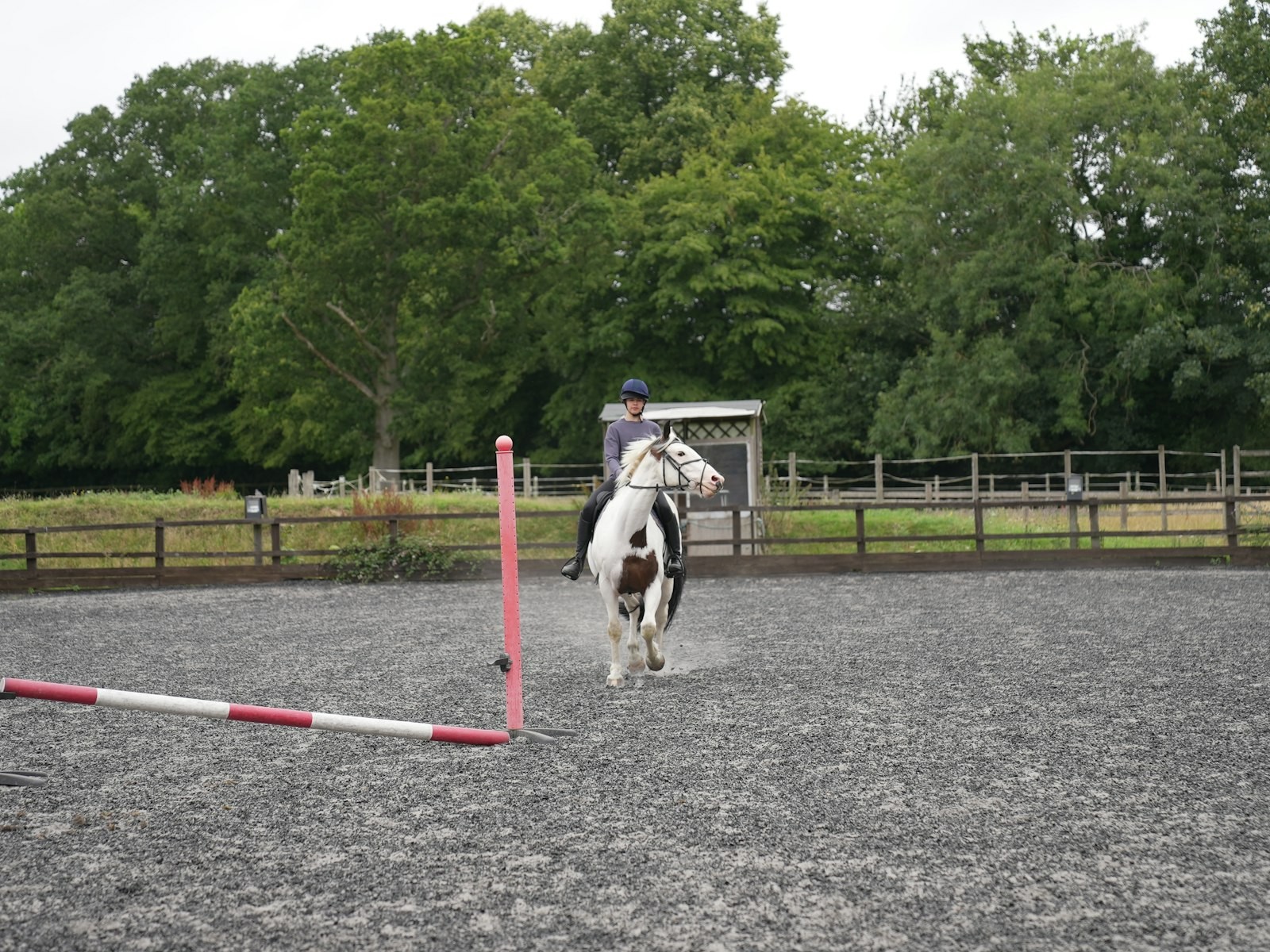 Horse arena cleaning in Melbourne