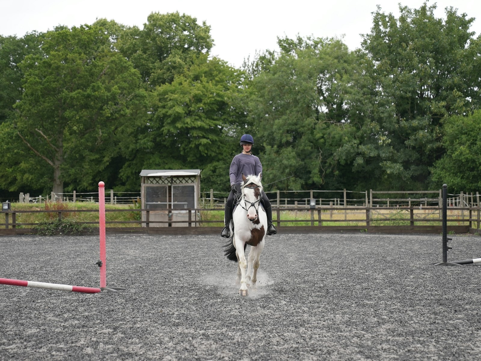 Horse arena cleaning in South Australia