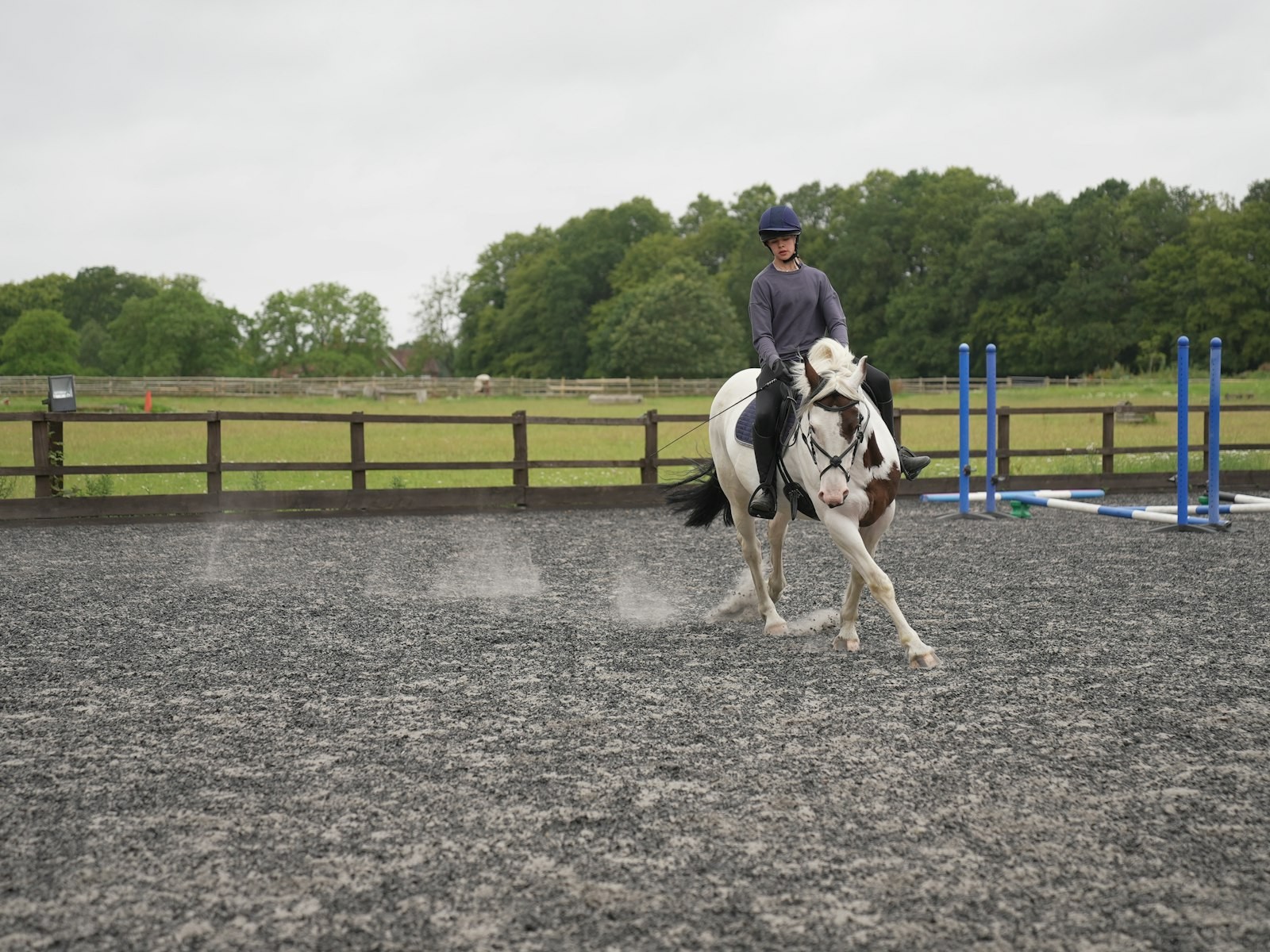 Horse arena cleaning in Western Australia